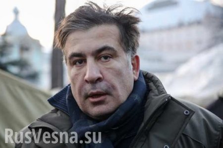 В администрации Порошенко открестились от самолета, вывезшего Сааакашвили в Польшу