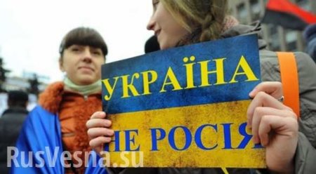 «Киев 4 года культивирует в обществе ненависть к России», — постпред РФ при ООН 
