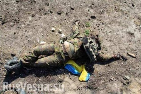 На Донбассе подорвался украинский оккупант