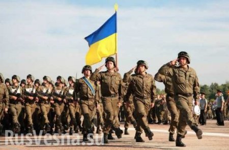 «Непобедимая» Украина может создать Барнаульские и Мурманские полки, — Матиос (ВИДЕО)