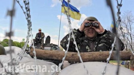 Как Запад умолял Украину не вводить военное положение (ВИДЕО)