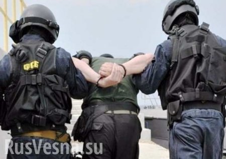 ФСБ заставила сборную Хорватии извиниться перед Россией, — украинские СМИ 