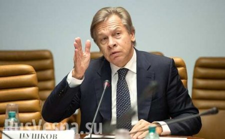 «Невменяемая», — Пушков о вице-спикере Рады, сорвавшей переговоры по Донбассу