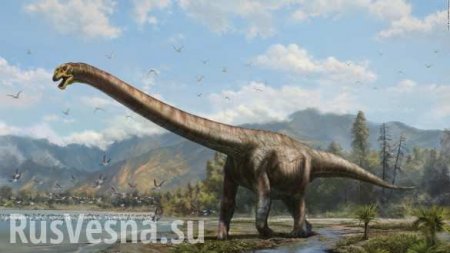 Бигфут-большая нога: учёные показали кости динозавра с самыми большими стопами (ФОТО)