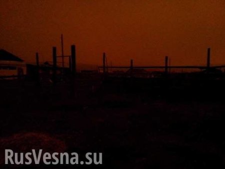 И пала тьма: в Якутии в разгар дня пропало солнце и погибли птицы (ФОТО)