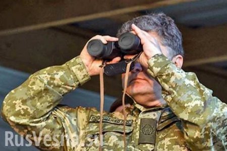 Родственник главы администрации Порошенко ворует снаряды ВСУ: сводка о военной ситуации в ДНР