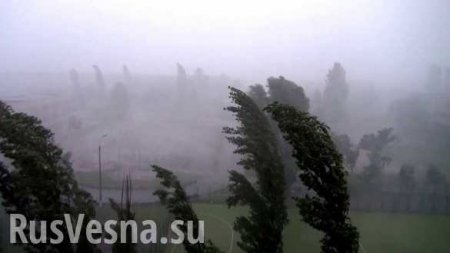 МЧС сообщило о пострадавших в ходе сегодяшнего урагана в Москве